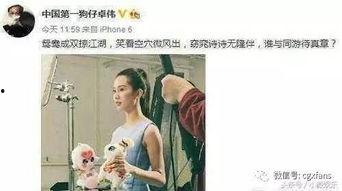 吃瓜娱乐刘诗诗,瓜田里的优雅女神